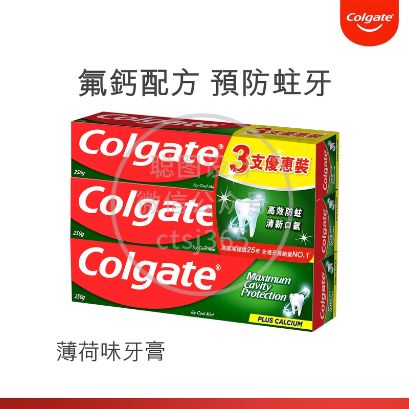 Colgate高露洁薄荷味牙膏 250克 x 3支 557769